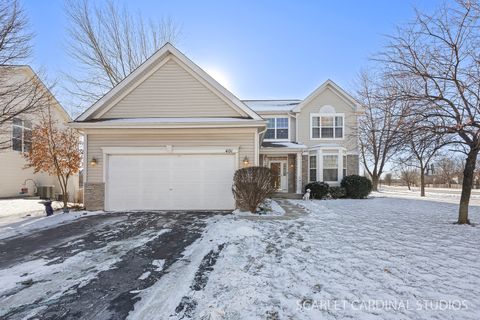 Photo of 401 Bower Lane, Oswego, IL 60543 (MLS # 12541986)