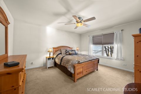 Tiny photo for 401 Bower Lane, Oswego, IL 60543 (MLS # 12541986)