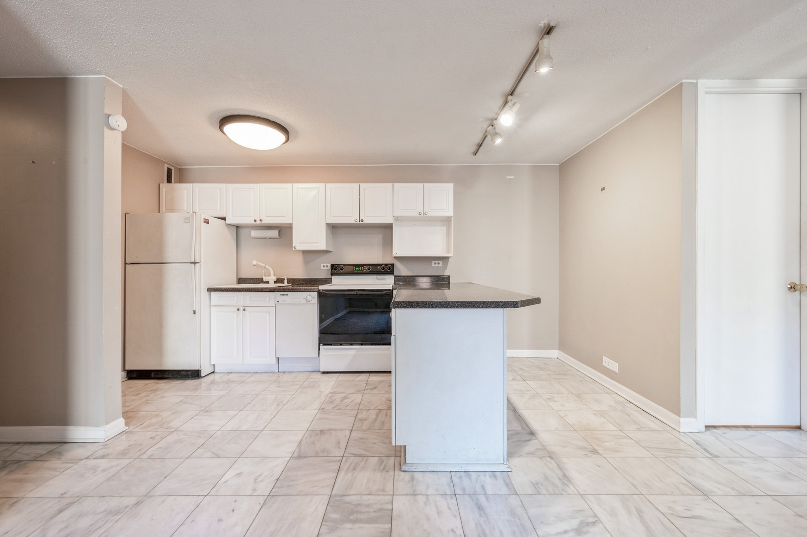 1339 N Dearborn Street 5C