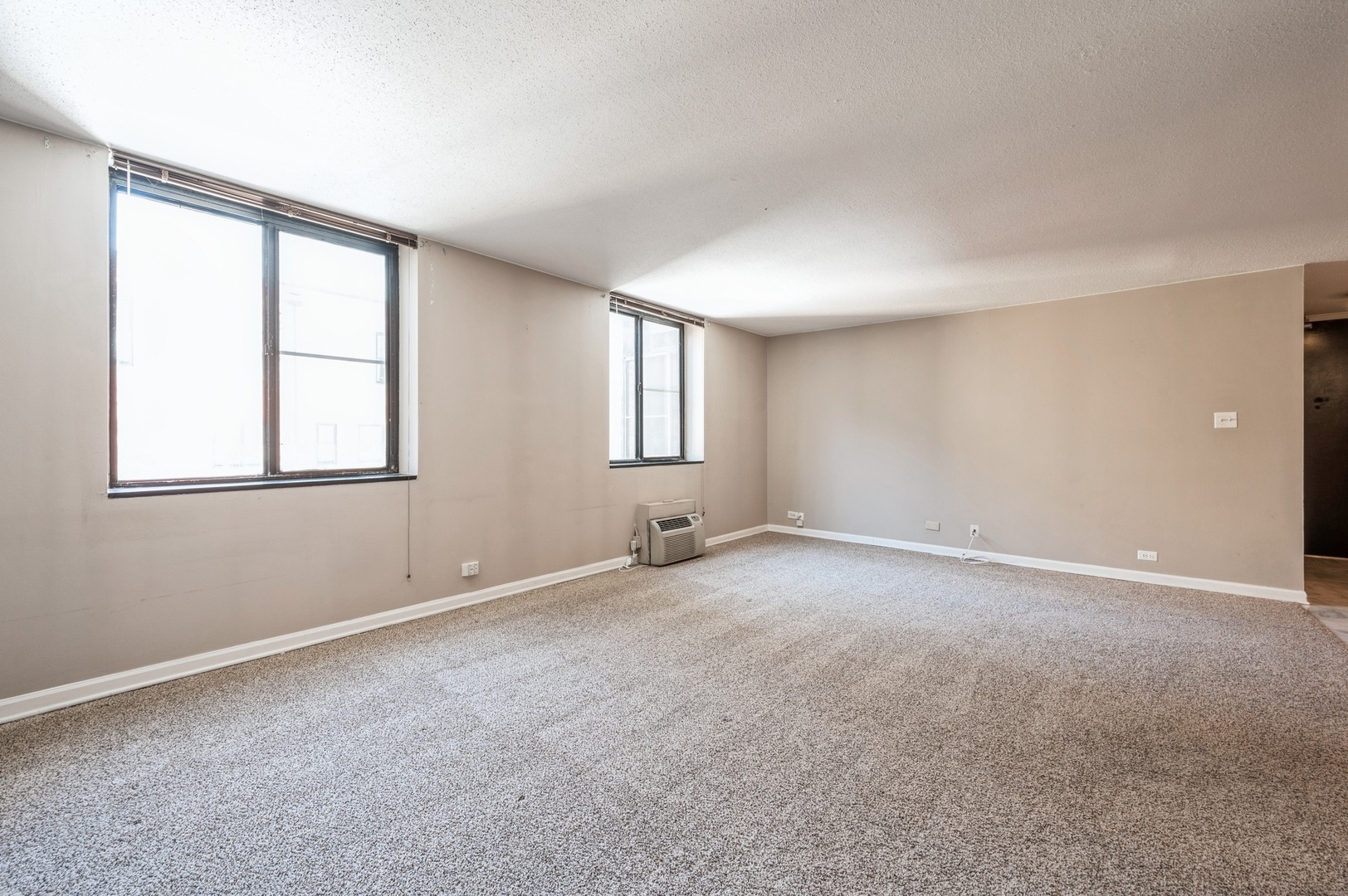 1339 N Dearborn Street 5C