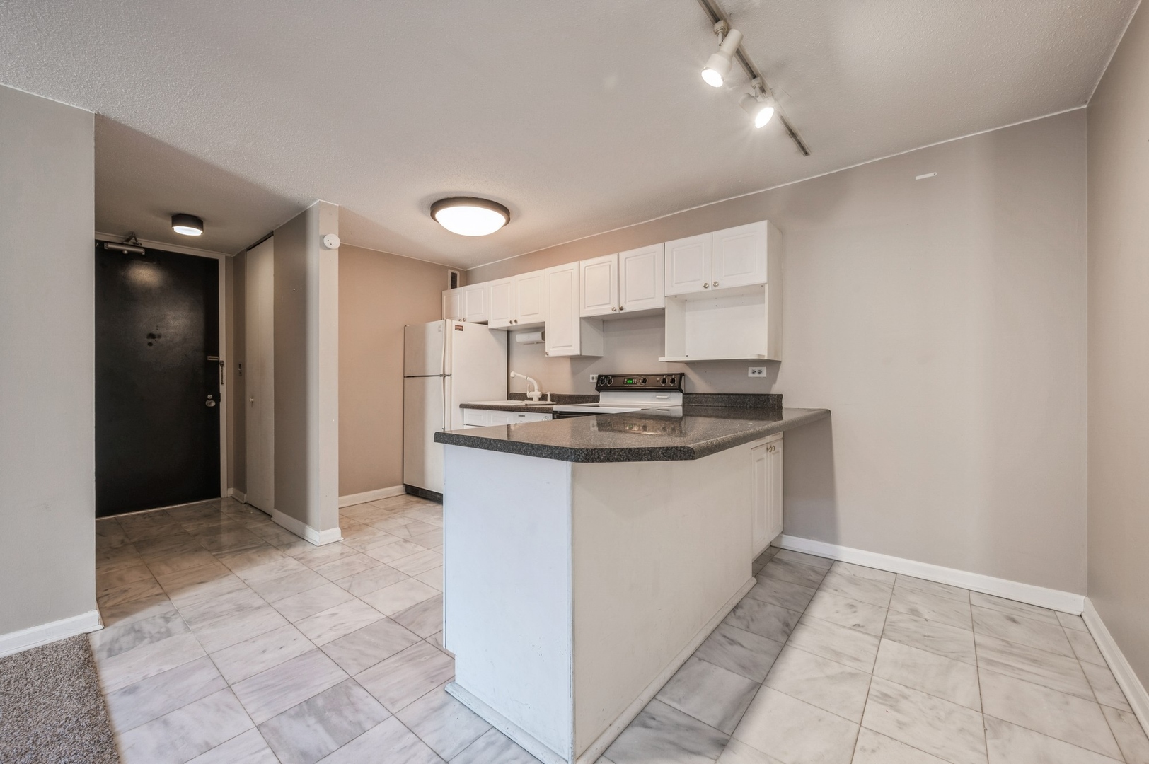1339 N Dearborn Street 5C