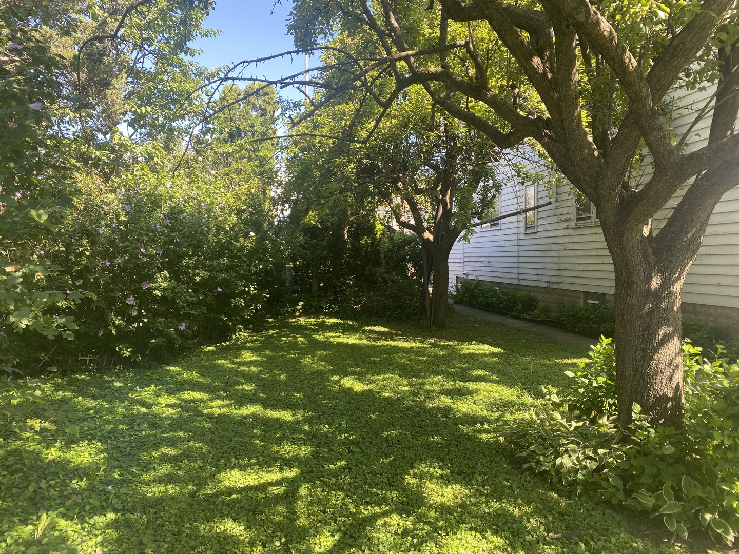 105 E 24th Street