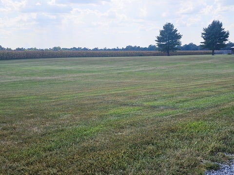 Tiny photo for 8253 N Nason Lane, Mt Vernon, IL 62864 (MLS # 12750969)