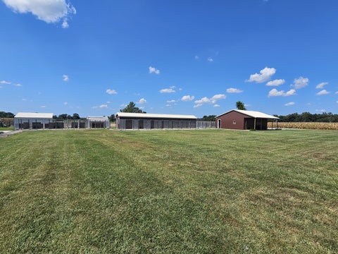 Tiny photo for 8253 N Nason Lane, Mt Vernon, IL 62864 (MLS # 12750969)