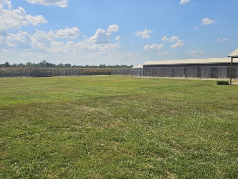 Tiny photo for 8253 N Nason Lane, Mt Vernon, IL 62864 (MLS # 12750969)
