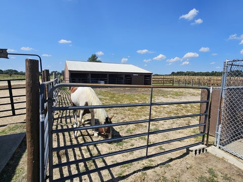 Tiny photo for 8253 N Nason Lane, Mt Vernon, IL 62864 (MLS # 12750969)