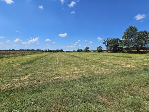 Tiny photo for 8253 N Nason Lane, Mt Vernon, IL 62864 (MLS # 12750969)