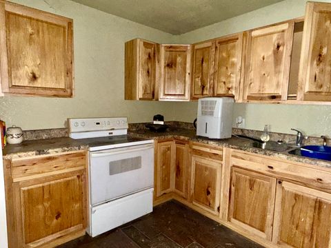 Tiny photo for 543 Tucker Lane, Metropolis, IL 62960 (MLS # 12624923)