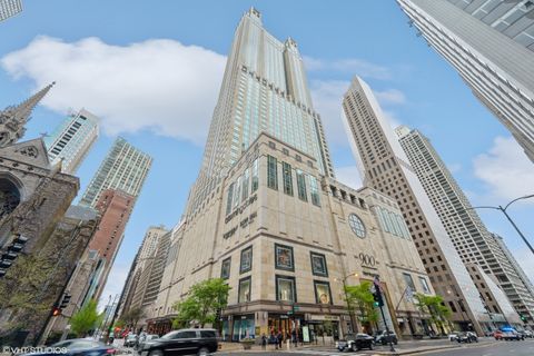 132 E DELAWARE Place 5403 Chicago IL 60611