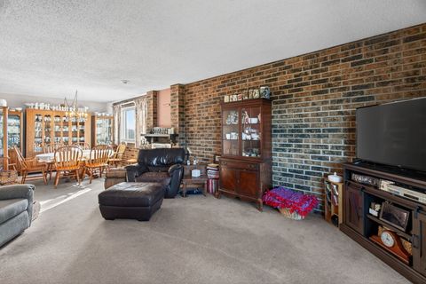 Tiny photo for Joliet, IL 60436 (MLS # 12579172)