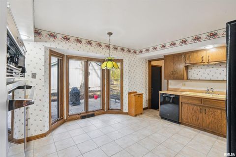 Tiny photo for 3800 14TH Street, Rock Island, IL 61201 (MLS # QC4268485)