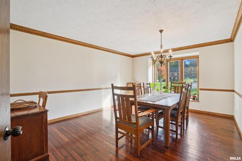 Tiny photo for 3800 14TH Street, Rock Island, IL 61201 (MLS # QC4268485)