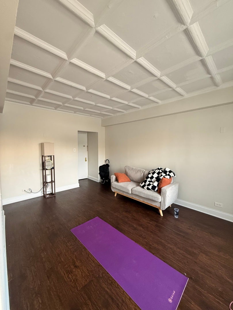 1211 N LASALLE Street 704