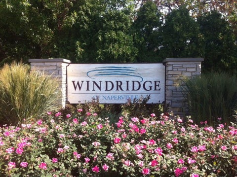 Tiny photo for 2950 Rutland Circle #0, Naperville, IL 60564 (MLS # 12651615)