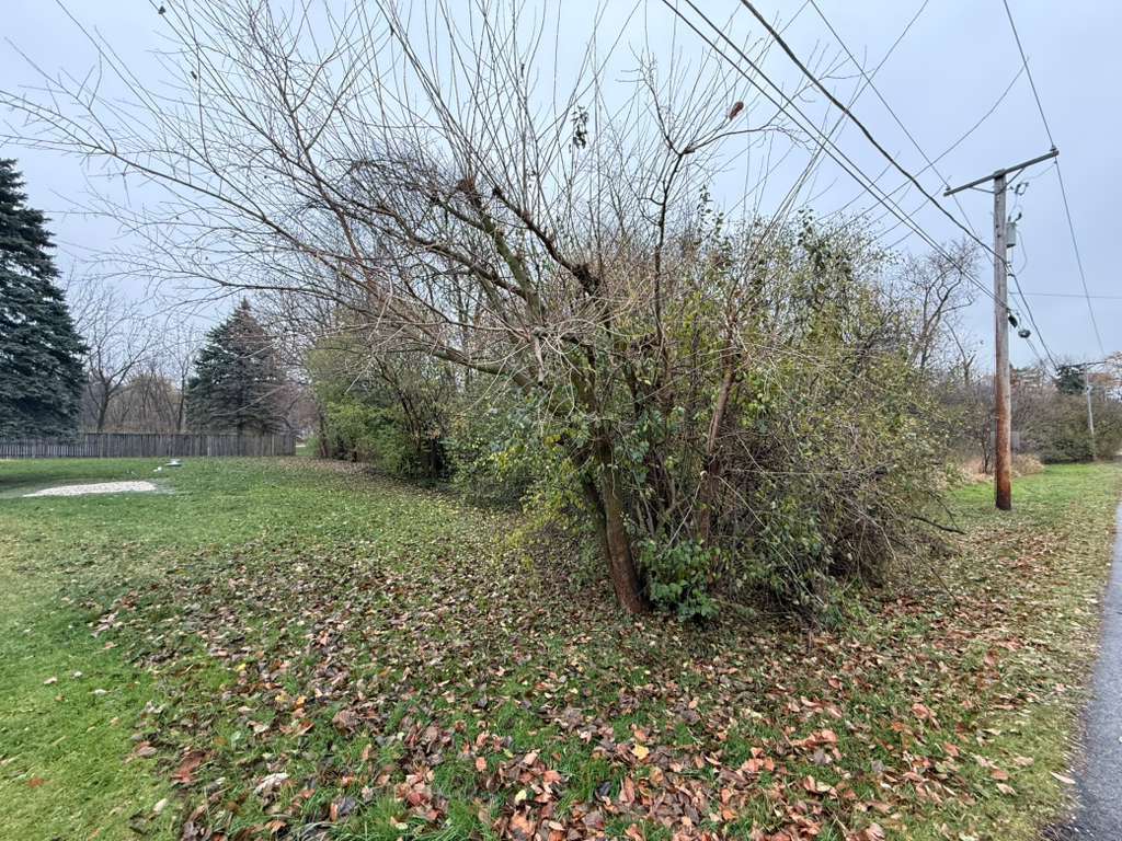 , Glen Ellyn, IL, 60137 3 3048359244