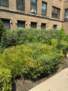 Tiny photo for 2432 W Greenleaf Avenue #2, Chicago, IL 60645 (MLS # 12715509)