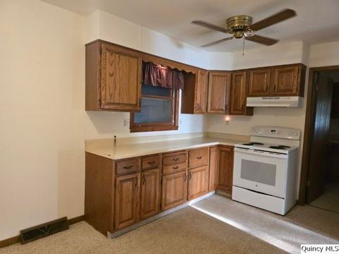Tiny photo for 1594 E County Rd 1500, Carthage, IL 62321 (MLS # 12475227)