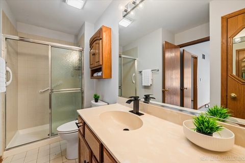 Tiny photo for 21289 Silktree Circle, Plainfield, IL 60544 (MLS # 12506360)