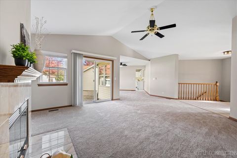 Tiny photo for 21289 Silktree Circle, Plainfield, IL 60544 (MLS # 12506360)