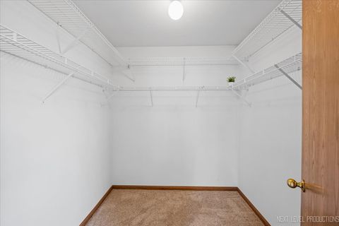 Tiny photo for 21289 Silktree Circle, Plainfield, IL 60544 (MLS # 12506360)