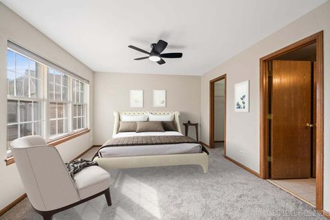 Tiny photo for 21289 Silktree Circle, Plainfield, IL 60544 (MLS # 12506360)