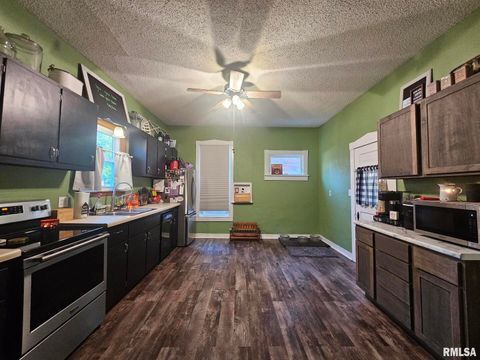 Tiny photo for 707 9TH Avenue, Durant, IA 52747 (MLS # QC4268303)