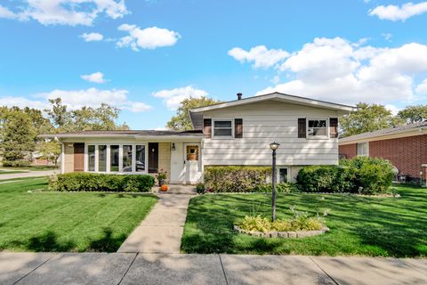 511 W Arquilla Drive Glenwood IL 60425