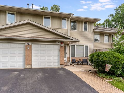 Photo of 471 RIVER BEND Road #107, Naperville, IL 60540 (MLS # 12463771)