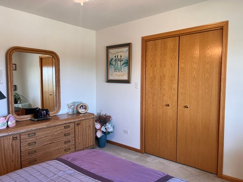 Tiny photo for 21372 Brittany Drive, Frankfort, IL 60423 (MLS # 12758476)