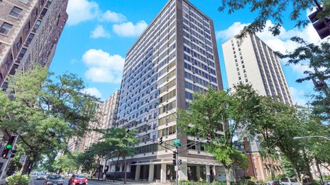 360 W Wellington Avenue 14D Chicago IL 60657