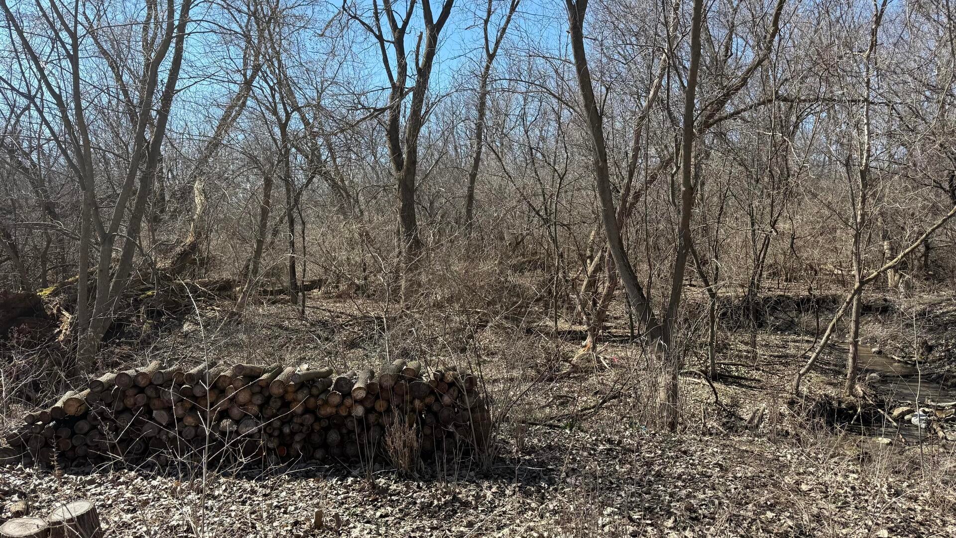 Lot 1 E Hilltop Boulevard
