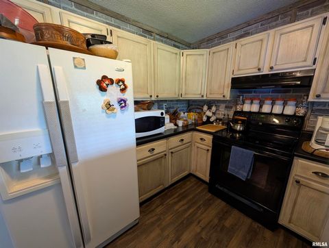 Tiny photo for 425 Peak Road, Harrisburg, IL 62946 (MLS # QC4265530)