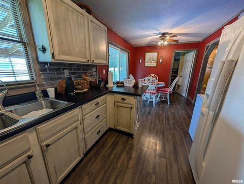 Tiny photo for 425 Peak Road, Harrisburg, IL 62946 (MLS # QC4265530)