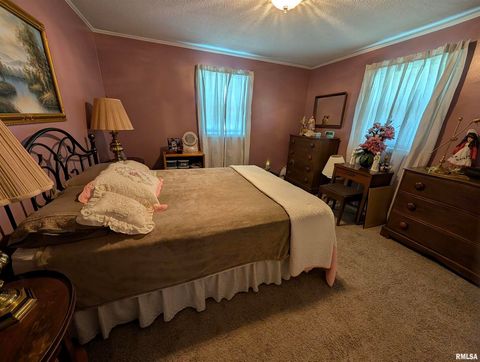 Tiny photo for 425 Peak Road, Harrisburg, IL 62946 (MLS # QC4265530)