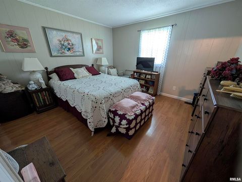 Tiny photo for 425 Peak Road, Harrisburg, IL 62946 (MLS # QC4265530)