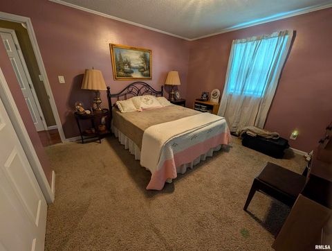 Tiny photo for 425 Peak Road, Harrisburg, IL 62946 (MLS # QC4265530)