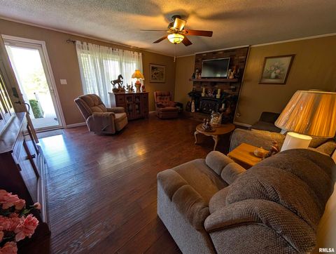 Tiny photo for 425 Peak Road, Harrisburg, IL 62946 (MLS # QC4265530)