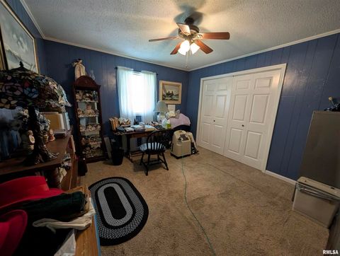 Tiny photo for 425 Peak Road, Harrisburg, IL 62946 (MLS # QC4265530)