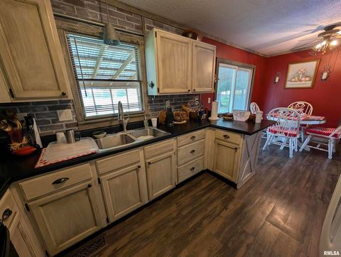 Tiny photo for 425 Peak Road, Harrisburg, IL 62946 (MLS # QC4265530)