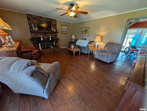 Tiny photo for 425 Peak Road, Harrisburg, IL 62946 (MLS # QC4265530)