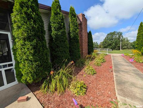 Tiny photo for 425 Peak Road, Harrisburg, IL 62946 (MLS # QC4265530)