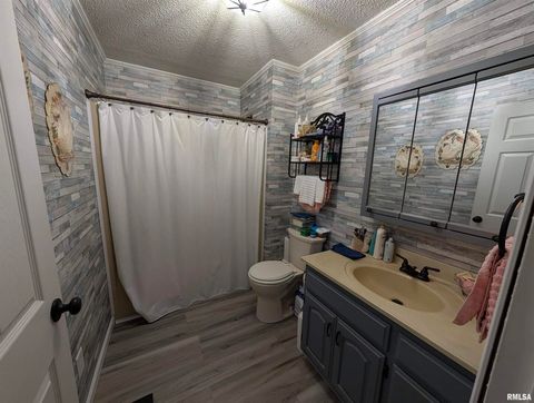 Tiny photo for 425 Peak Road, Harrisburg, IL 62946 (MLS # QC4265530)