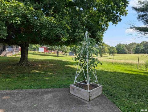 Tiny photo for 425 Peak Road, Harrisburg, IL 62946 (MLS # QC4265530)