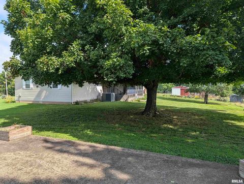 Tiny photo for 425 Peak Road, Harrisburg, IL 62946 (MLS # QC4265530)
