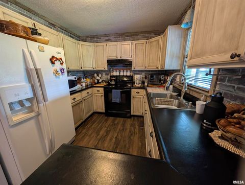 Tiny photo for 425 Peak Road, Harrisburg, IL 62946 (MLS # QC4265530)