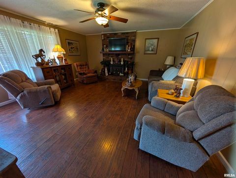 Tiny photo for 425 Peak Road, Harrisburg, IL 62946 (MLS # QC4265530)