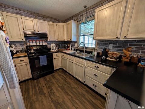 Tiny photo for 425 Peak Road, Harrisburg, IL 62946 (MLS # QC4265530)