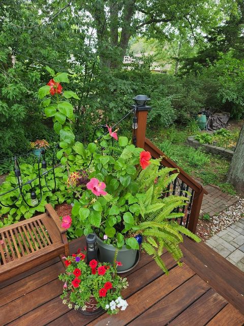 Tiny photo for 300 Harper Court, Normal, IL 61761 (MLS # 12613140)