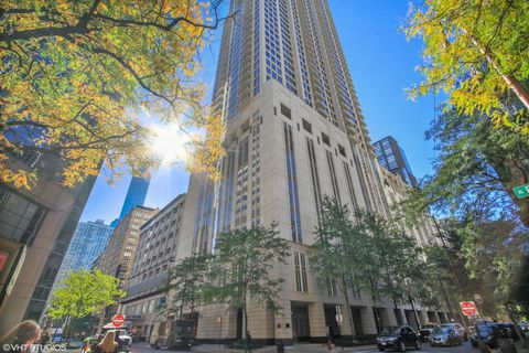 55 E Erie Street P-43 Chicago IL 60611