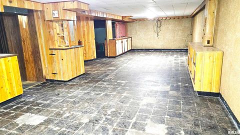 Tiny photo for 10 PARK LANE Avenue, Centralia, IL 62801 (MLS # EB460730)